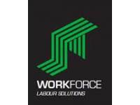 stworkforce ltd